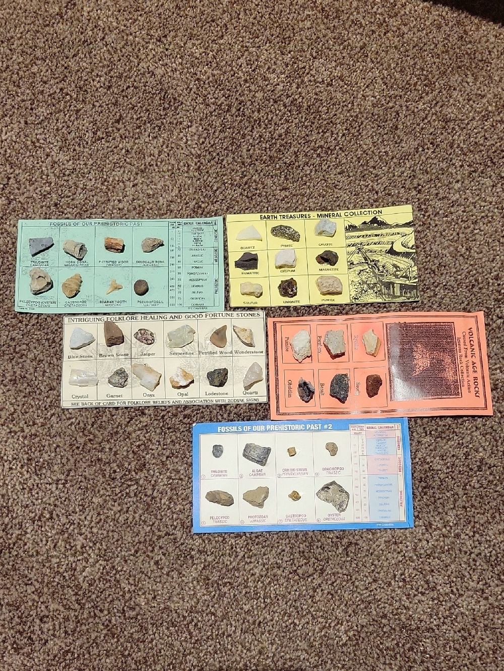 Fossils, Stones, And Volcanic Age Rocks